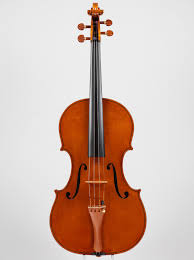 Image result for Viola eminii