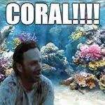 Sean Mullen Ssm_036 - Profile Pinterest