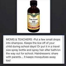 Moms And Teachers Must Read Tea Tree Tea Tree Oil Tree Oil
