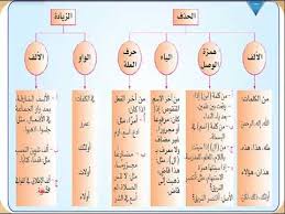 حل تدريبات الكفاية الإملائية كفايات3 ثاني ثانوي الحذف والزيادة Youtube
