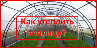 Disayangi keluarga, mendapat keberkatan, dihormati masyarakat, maruah diri terpelihara, dilindungi oleh allah, incorrect: Penebat Rumah Hijau Arahan Pemasangan Video Sendiri Cara Penebat Untuk Musim Sejuk Harga Foto