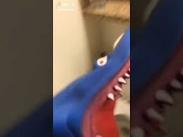 Tik Tok Shark Youtube By attribution 3.0 creativecommons.org/licenses/by/3./ music credits: youtube