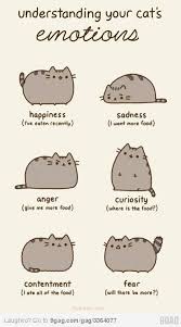 A Chart For Those Who Don T Have This Figured Out Yet Pusheen Cat Pusheen Funny Cats