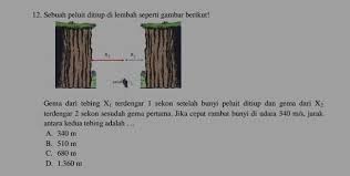 Rumus bunyi pantul dua tebing. Contoh Soal Fisika Tentang Bunyu Tebing Jawabanku Id
