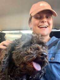 Wondering what the rough going rate for a live in govie is ?