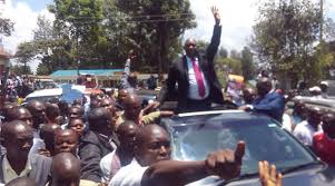 Image result for nyagarama