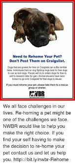 Check spelling or type a new query. Need To Rehome Your Pet Don T Post Them On Craigslist Dogs That Are Posted For Free On Craigslist Can Suffer Terrible Fates Individuals That Run Dog Fighting Rings Look For Free Dogs