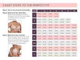 Bra Measurement Calculator Felina
