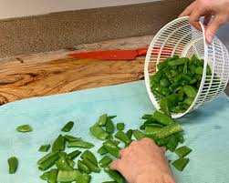 The latest round of picking yielded around 5 gallons of peas in the pod. How To Freeze Snow Peas And Sugar Snap Peas The Crunchy Ginger