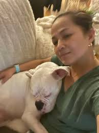 Natural remedies for lymphoma in dogs