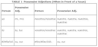 Possessive Adjectives