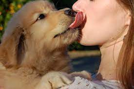 Berkeley Woman Asks Should We Let Our Pets Lick Us On The Lips