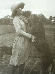 With Dusk Africa Vintage Dog Scottish Deerhound