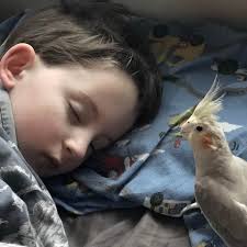 I Almost Overshot The Runway During This One ✈🤣🤣🤣🤣🤣🏆🥇👌 #overshot  #runway #MrMethane #fart #farts #farting #fartsarefunny #summervibes  #summer #celebration #jimmybuffett #jimmybuffetsmargaritaville  #jimmybuffetttribute