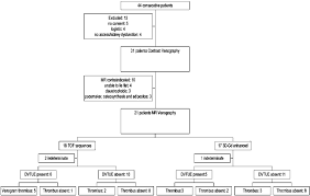 flow diagram of 44 patients with suspected deep vein