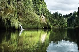 View of the Whanganui River