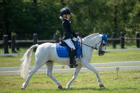 Britt dekker heeft waarschijnlijk nog nooit zoveel positieve reacties gehad als na haar vandaag helpt britt pien met haar nieuwe paard. Sportdag Met Britt Dekker Op De Foto Welsh