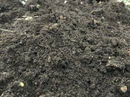 Amynthas spp, also known as jumping worms, were found in wisconsin in 2013. Usa Invaded By Crazy Jumping Worms That Destroy Land And Even Slice Themselves In Half To Evade Capture Future Tech Trends