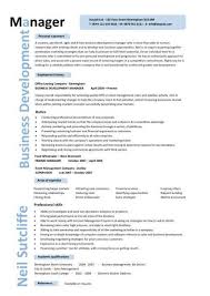 business development manager cv