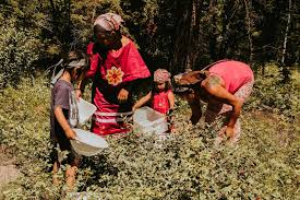 As a single mom, racial justice educator, and positive discipline coach, . Decolonizing Family Community Parenting Kelsie Marchand Guest Blogger Tea Bannock