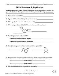 Dna replication worksheet worksheets for all from dna structure and replication worksheet answers, source: Dna Structure And Replication Worksheet Persuasive Writing Prompts Solving Quadratic Equations Word Problem Worksheets