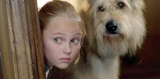 How Well Do You Know Because Of Winn Dixie Movie?