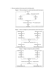 We did not find results for: Biolog I