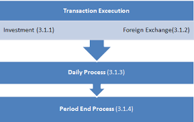 Ipsas Finance Manual