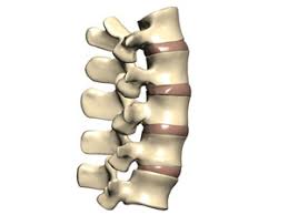 Facettensyndrom Symptome Therapie Operation