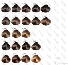 10 Best Goldwell Colorance Images Goldwell Color Chart