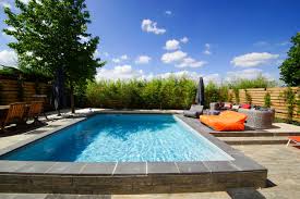 Petites Piscine Piscines Carrees Liner Gris Clair Bambous Piscine Maison Petite Piscine Piscine Carre