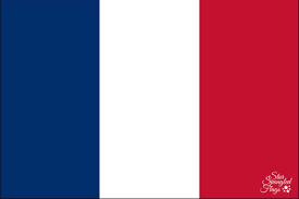 France's flag (sometimes called the 'tricolor') was first used in 1789, after the french revolution. Flag Of France Sales Buy Nylon Star Spangled Flags