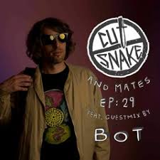Listen to Cut Snake & Mates Ep 011 Harvard Bass Guestmix by Cut Snake in  Bingas playlist online for free