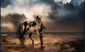 Collection by danishwar log • last updated 5 weeks ago. 77 Unusual Wallpapers For Desktop On Wallpapersafari