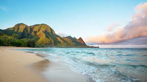 Check spelling or type a new query. Hawaii Travel Insurance