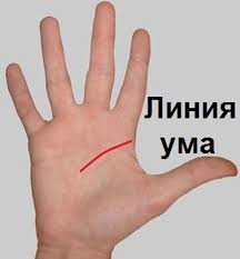 на руках 10 пальцев сколько пальцев на 10 руках Sam Sebe Hiromant Linii Na Rukah Rasskazhut Mnogoe O Vashej Lichnosti Hiromantiya Zhizn Refleksologiya