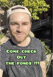 Creating a Beautiful Koi Pond for Your Garden