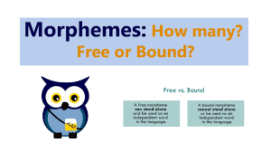 I need to go now, but you can stay. put another way, none of the nine words in that sentence can be divided. Morphemes How Many Free Or Bound Youtube