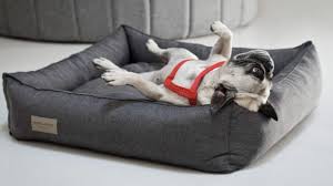 Free shipping · helping 18,000+ shelters · 24/7 customer service 10 Best Dog Beds To Pamper Your Pooch Starting From Just 15