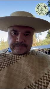 Echándole una probadita a la tremenda caballada de los amigos de Las  Alamedas El rosillo “Chorombo” por Mono Mono y Muñeca El bayo “Tango” por  Mono Mono y Tinaja En las fotos