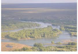 Tripadvisor has 296 reviews of rio negro hotels, attractions, and restaurants making it your best rio negro rio negro tourism: Aerial View Of A Representative Section Of The Upper Rio Negro With Download Scientific Diagram