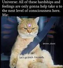 Pin By The Awakened Oracle On Wisdom Cards Funny Spiritual Memes Spirituality Funny Memes