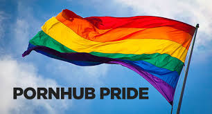 Gay Porn Pride - Pornhub Insights