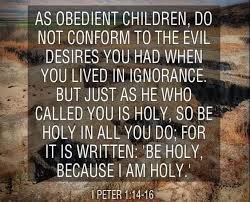 What Does The Bible Say About Holiness What Does It Mean To Be Holy Answer In 1 Peter 1 13 16 Pe The Revelation Of Jesus Christ Sayings It S Meant To Be