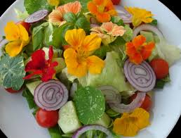 Maybe you would like to learn more about one of these? Insalata Di Fiori E Ortaggi Biodiversobiodiverso