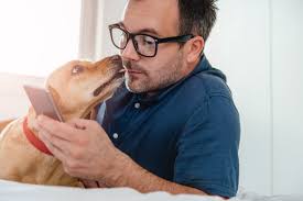 Maybe you would like to learn more about one of these? Vet Payment Options In Yuma Az Desert Veterinary Clinic
