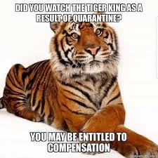 Pin By G On Tiger King Memes Tiger Bones Funny