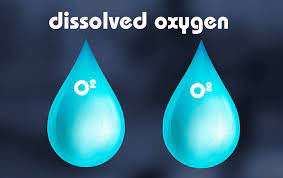 Dissolved oxygen (do) is the amount of oxygen that is present in the water. Acniti Dissolved Oxygen