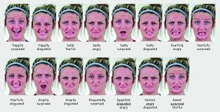 1179 x 1464 jpeg 193 кб. Fifteen Compound Facial Expressions Shown Here Are The Fifteen Download Scientific Diagram