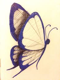 Day 13 Something In Nature Penandink Drawing Butterfly Nature Flying Drawingadaychallenge C Nora Sakal Fly Drawing Butterfly Drawing Nature Drawing
